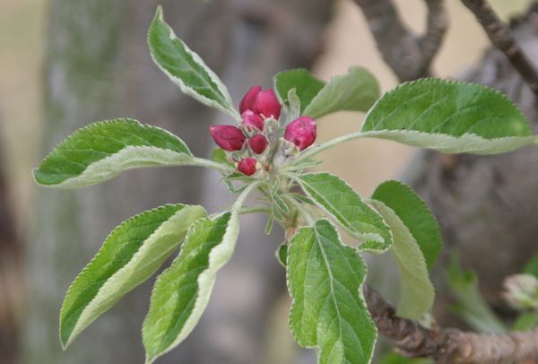 c0104227_1114963.jpg