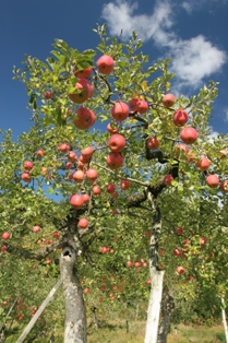f0138227_15263093.jpg