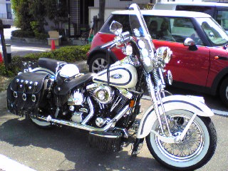 a0099129_1810517.jpg