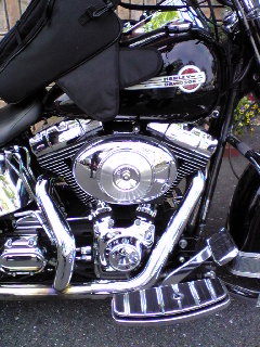 a0099129_1812088.jpg