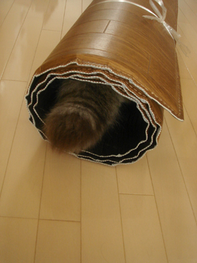 e0157129_15303062.jpg