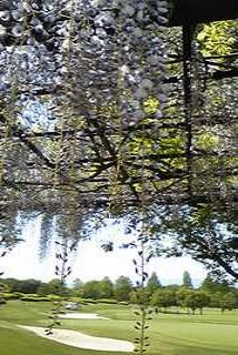 f0161834_22433069.jpg