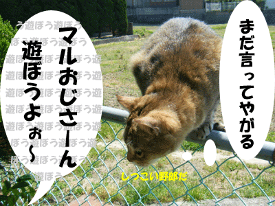 f0008935_15105522.gif