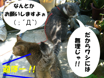 f0008935_15111582.gif