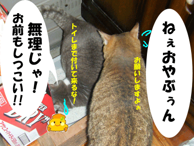 f0008935_15112455.gif