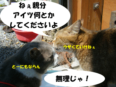 f0008935_1511748.gif