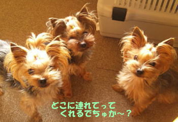 b0001440_2265688.jpg
