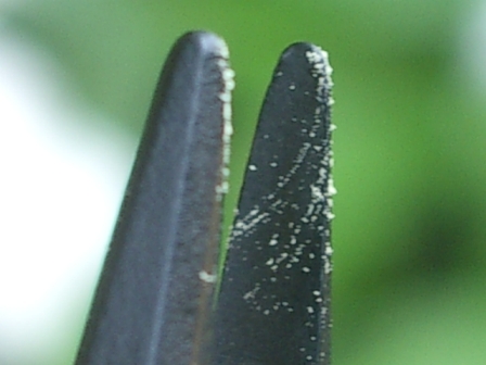 c0025140_12263195.jpg