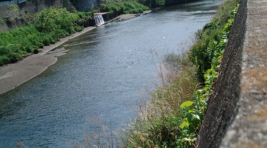 f0150151_784259.jpg