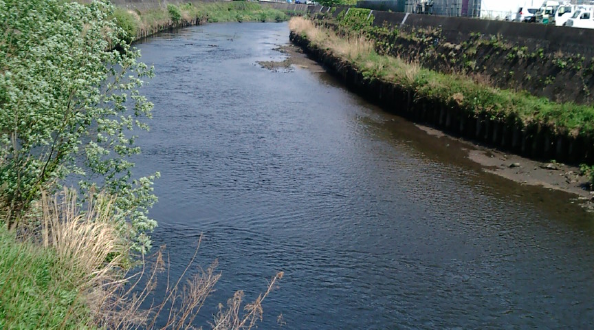 f0150151_784823.jpg