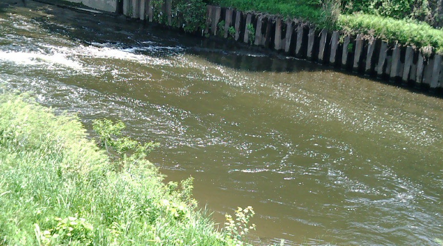 f0150151_785557.jpg