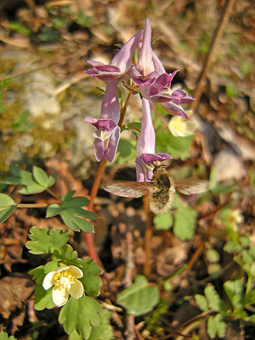a0001354_21345633.jpg