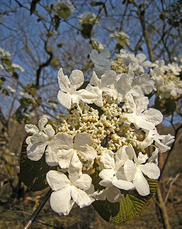 a0001354_21353027.jpg