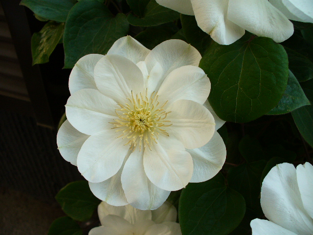 f0074659_22283815.jpg