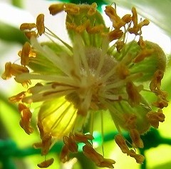 b0169765_9141441.jpg
