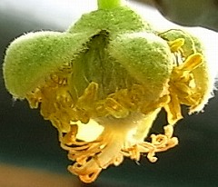 b0169765_9351734.jpg