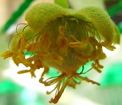 b0169765_935558.jpg