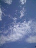 f0006565_221757.jpg