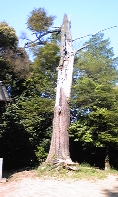 e0143667_12251295.jpg