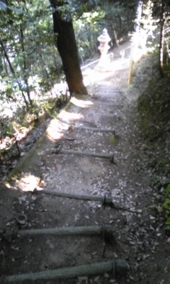 e0143667_12272916.jpg