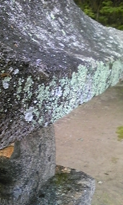 e0143667_12372264.jpg