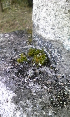 e0143667_12374732.jpg