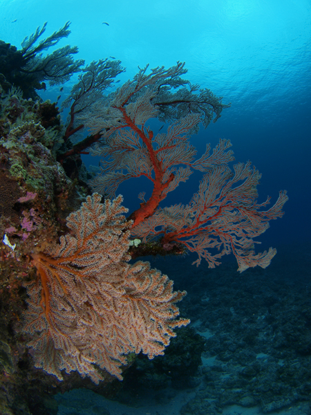 b0138768_10342857.jpg