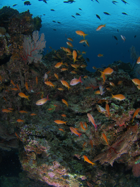b0138768_10365987.jpg