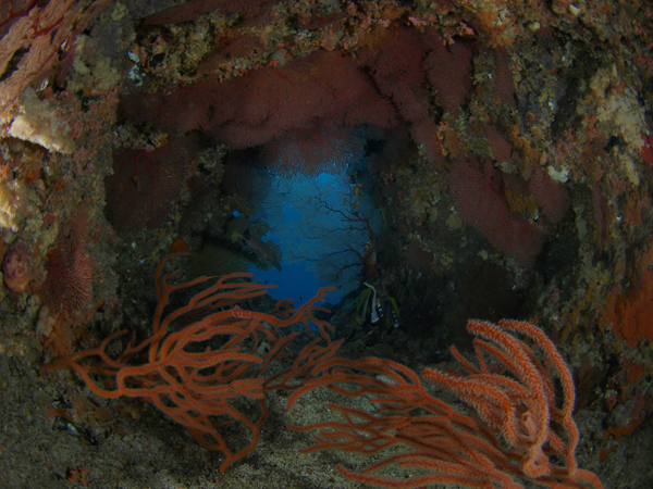 b0138768_10411978.jpg