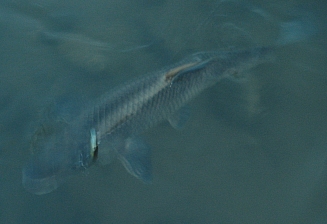 a0096669_12272048.jpg
