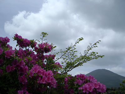 e0097770_025534.jpg