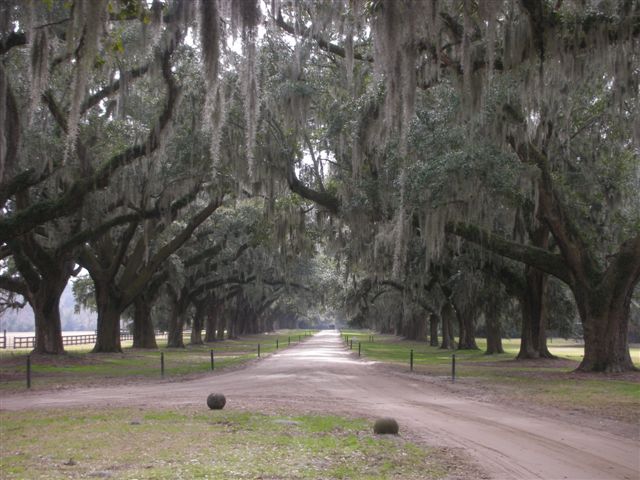 c0110871_15203669.jpg