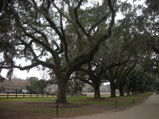 c0110871_16184719.jpg