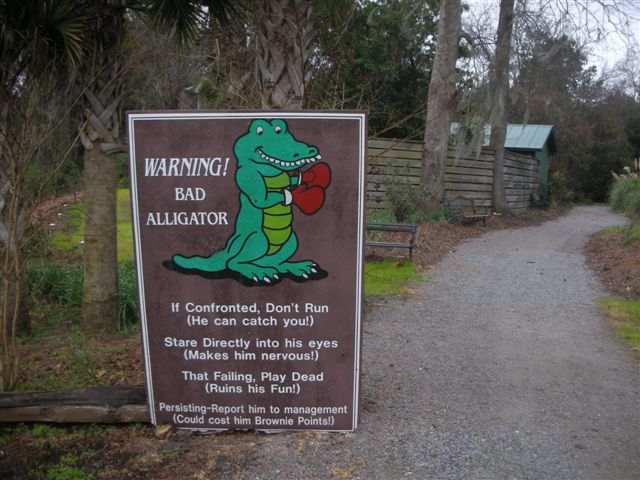 c0110871_162847.jpg