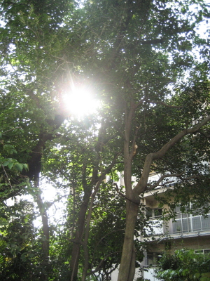 f0183274_2155248.jpg