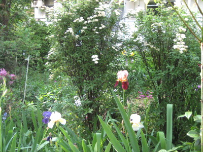 f0183274_2156347.jpg