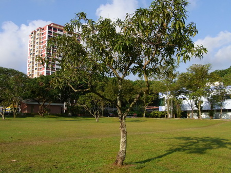 a0002177_1562484.jpg