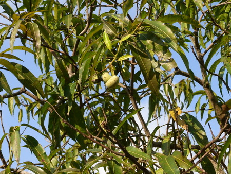 a0002177_1564881.jpg