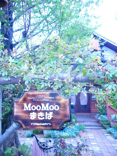 b0050079_657874.jpg