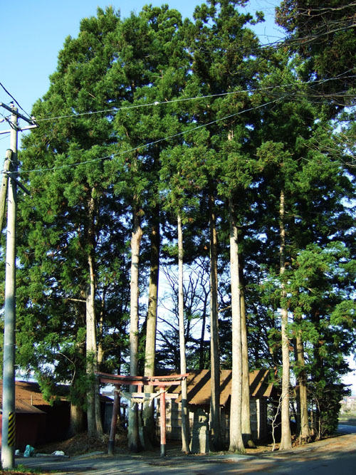 c0195281_8231770.jpg