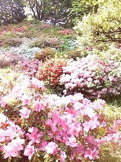 c0076383_2231333.jpg