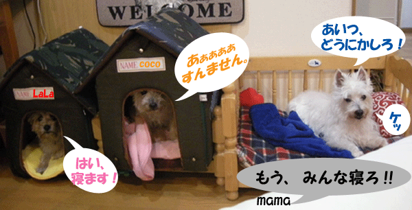 e0066883_192834.gif