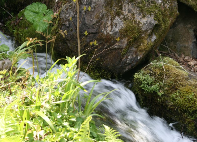 c0144185_10174466.jpg