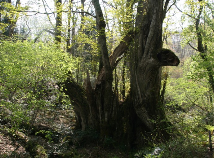 c0144185_10285293.jpg