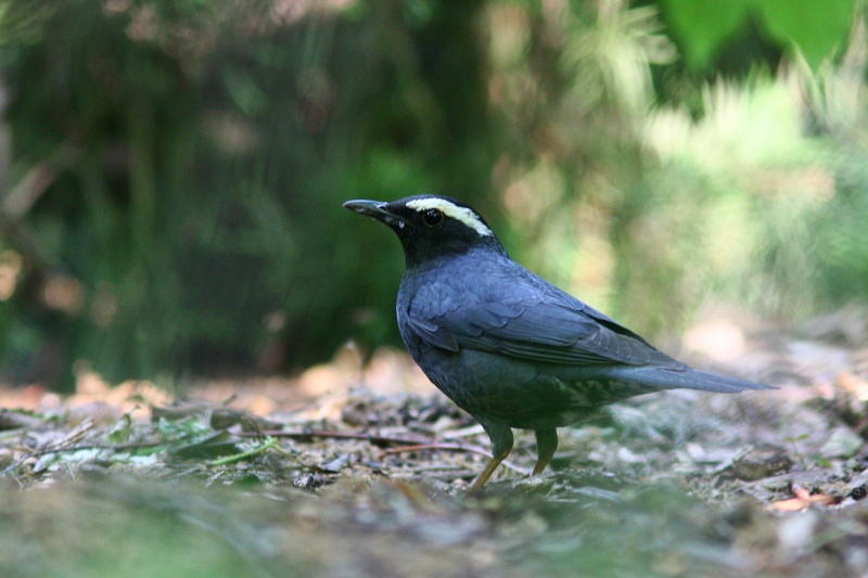 f0022486_0154038.jpg