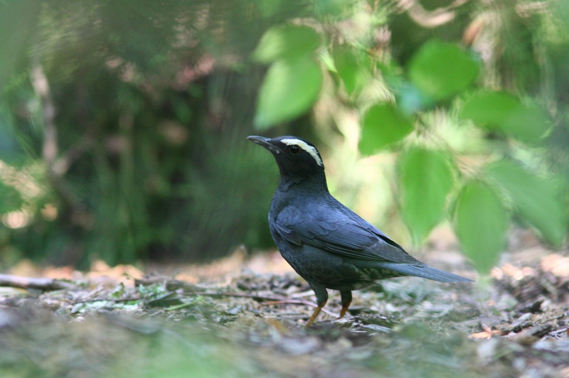 f0022486_0154857.jpg
