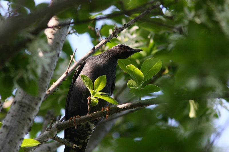 f0022486_0155754.jpg