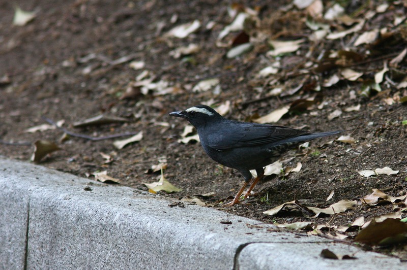 f0022486_0163853.jpg
