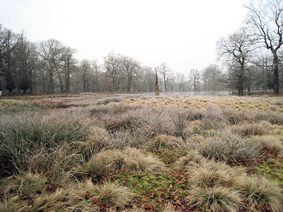 c0107588_1251276.jpg