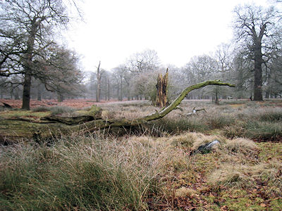 c0107588_12513660.jpg
